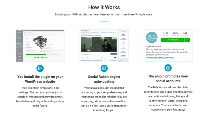fonctionnement Social Rabbit
