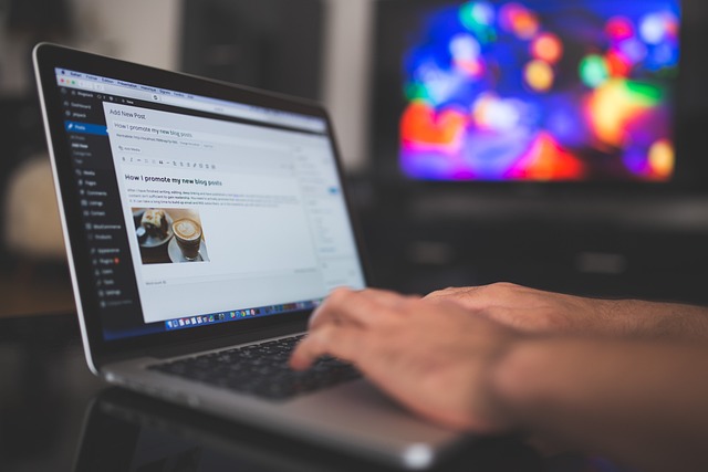 Blogguer wordpress